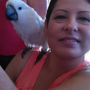 Meet your Posher, Victoria